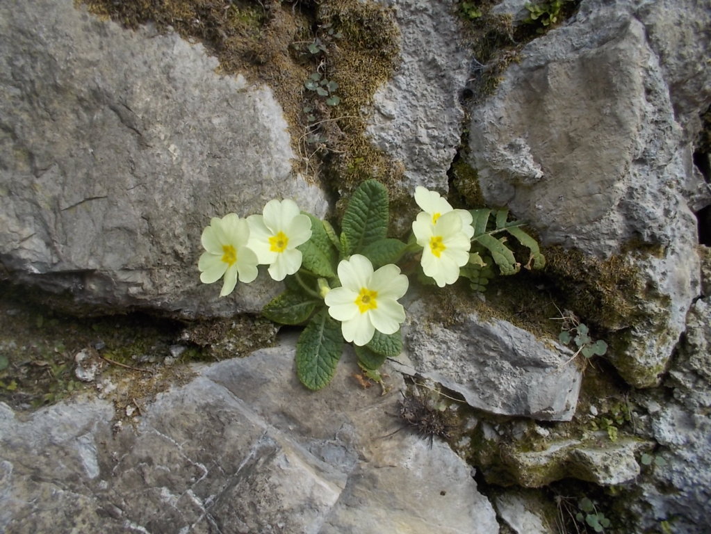 DSCN1509 (FILEminimizer)