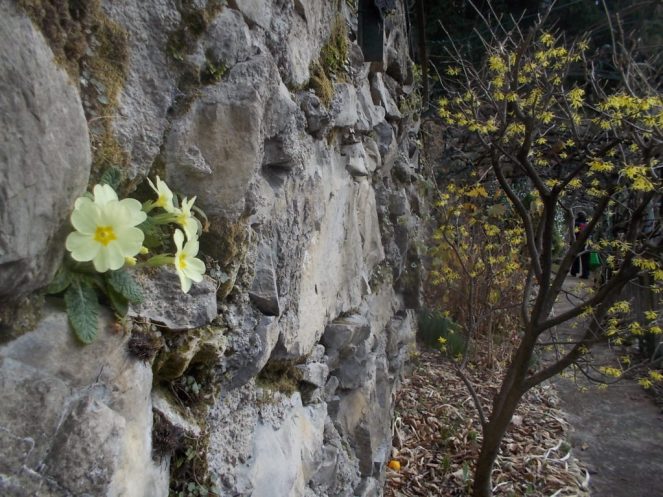 DSCN1510 (FILEminimizer)