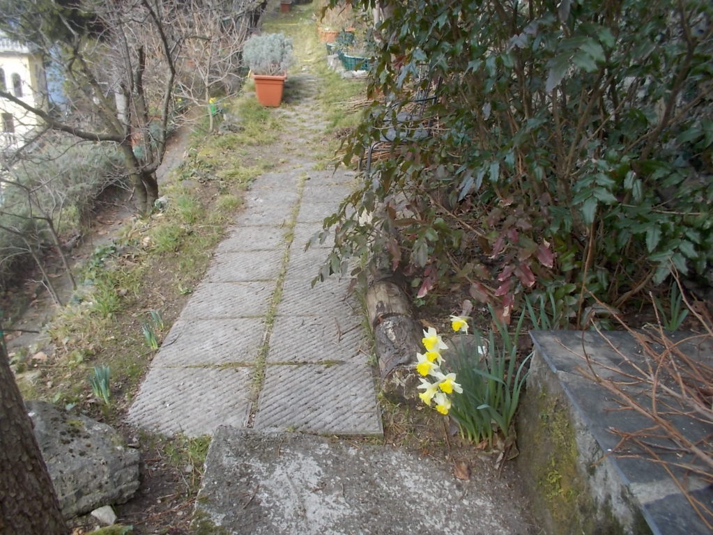 DSCN1511 (FILEminimizer)