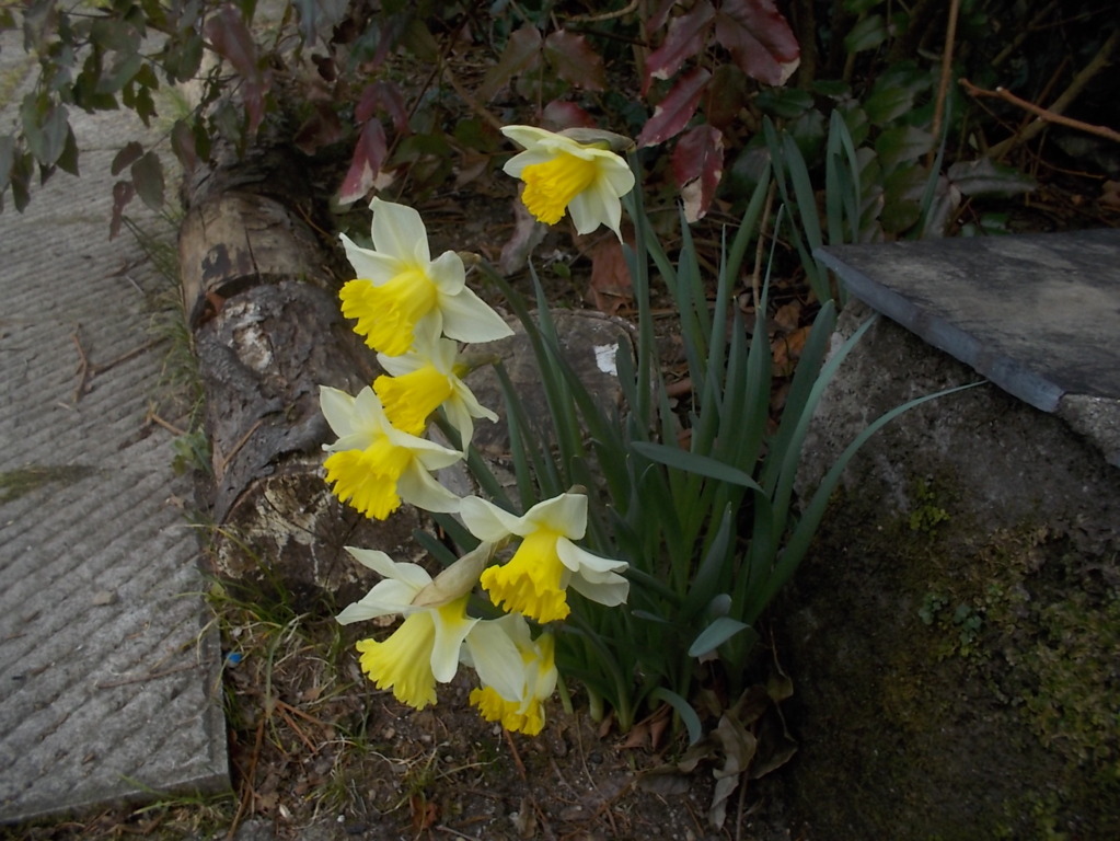 DSCN1512 (FILEminimizer)