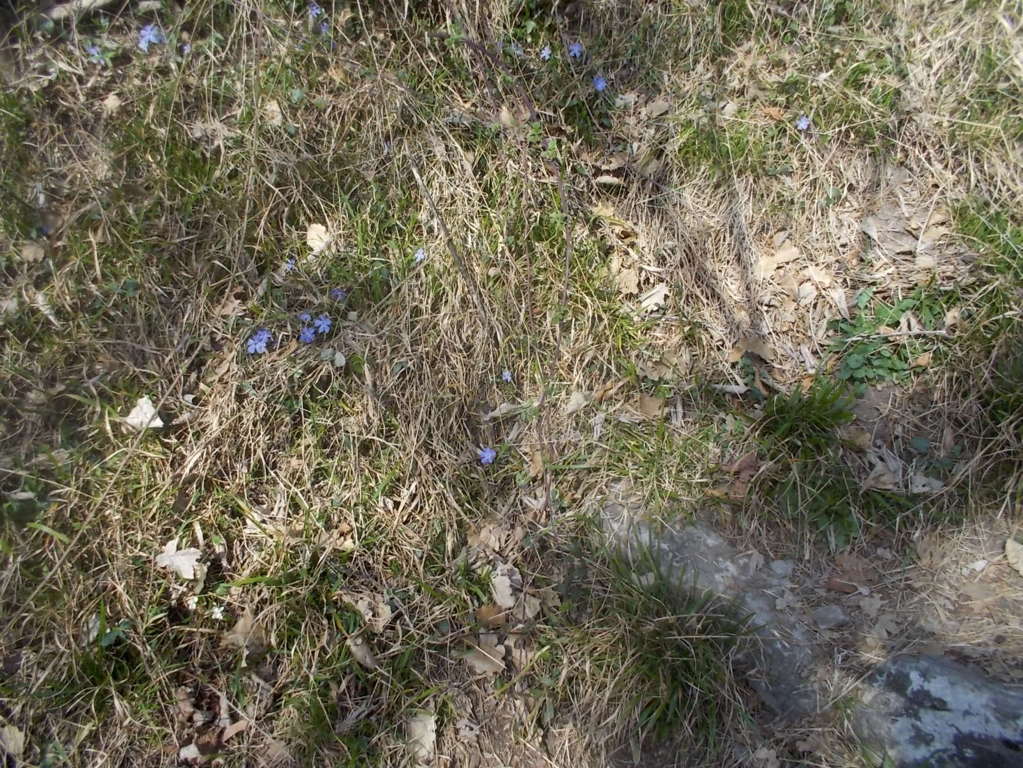 DSCN1519 (FILEminimizer)