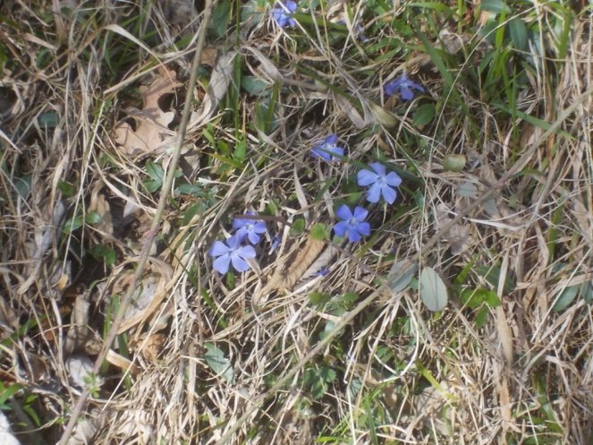 DSCN1520 (FILEminimizer)