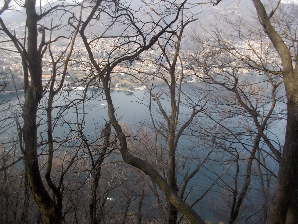 DSCN1522 (FILEminimizer)