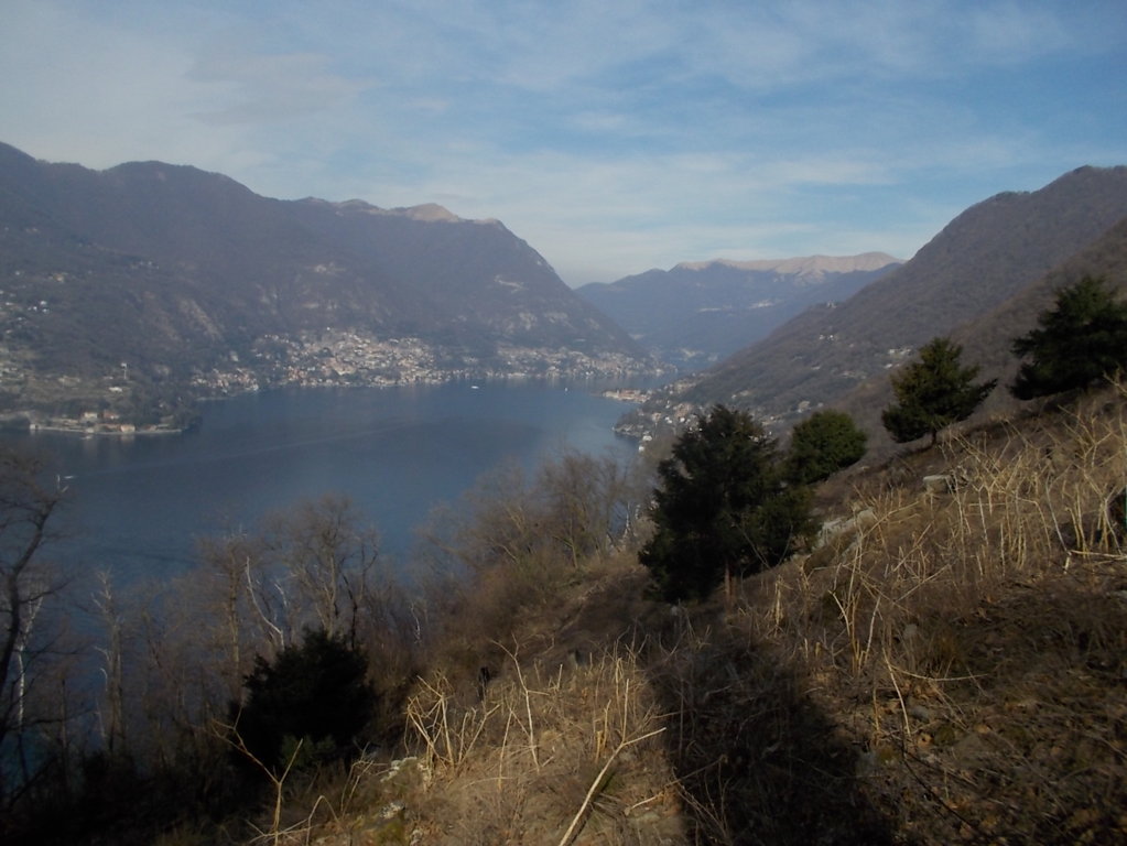 DSCN1523 (FILEminimizer)