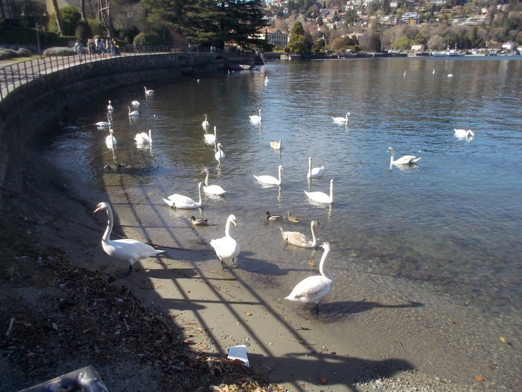 DSCN1530 (FILEminimizer)