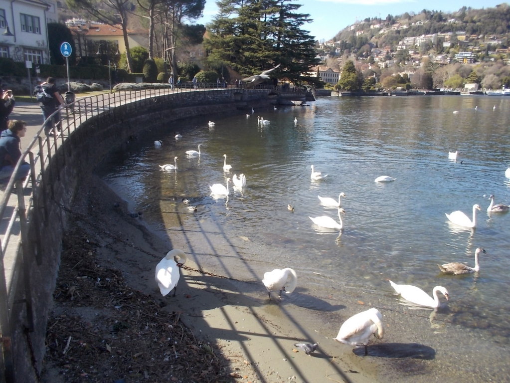 DSCN1531 (FILEminimizer)