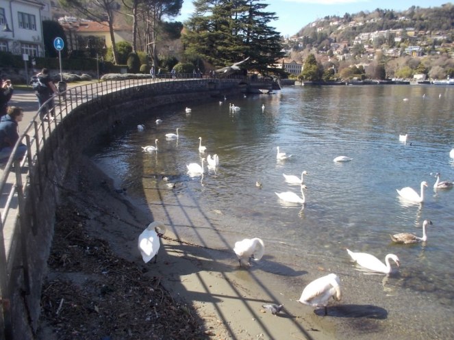 DSCN1531 (FILEminimizer)