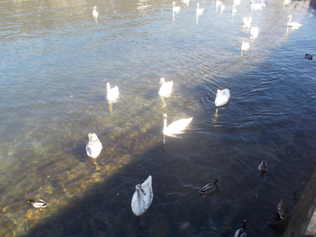 DSCN1532 (FILEminimizer)