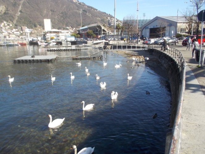 DSCN1533 (FILEminimizer)