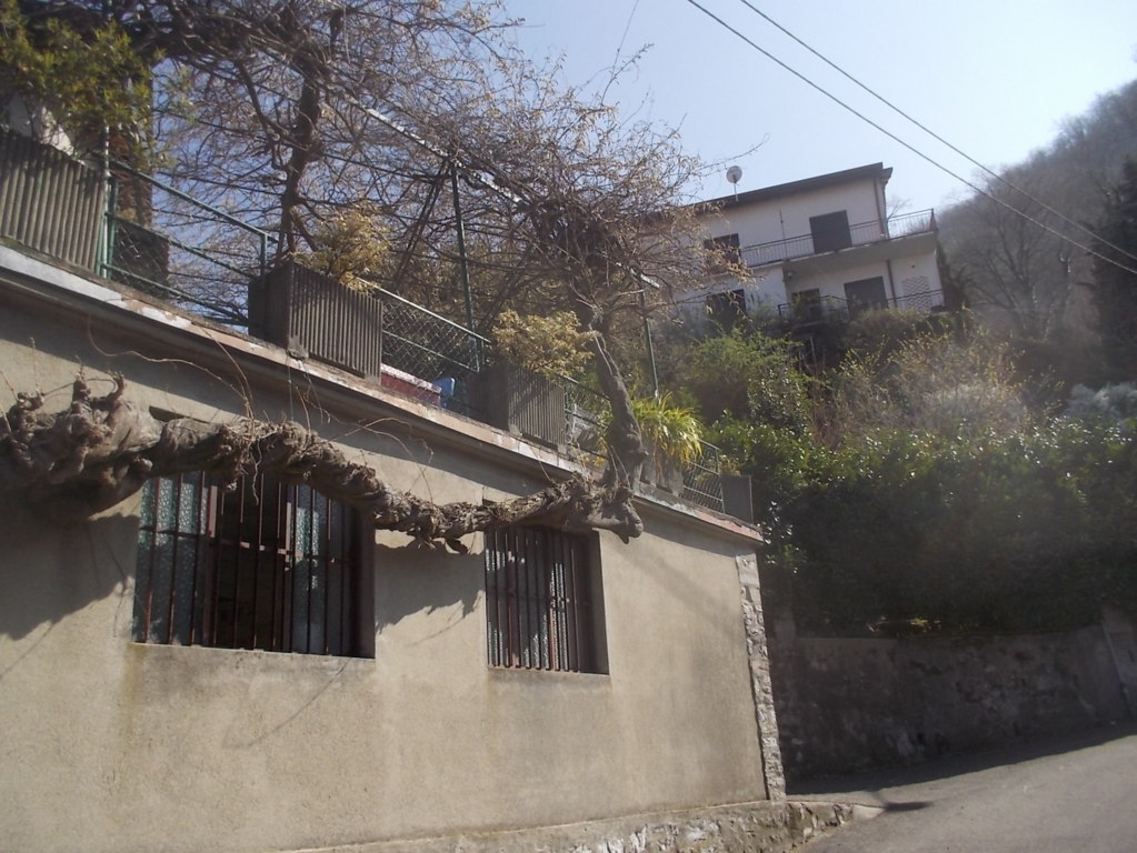 DSCN1537 (FILEminimizer)