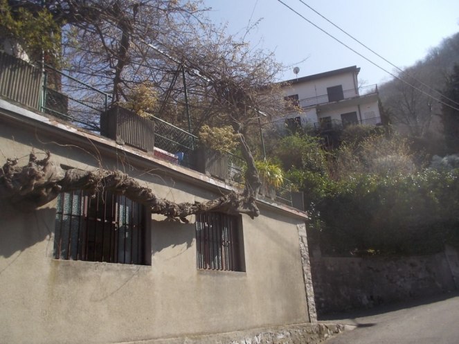 DSCN1537 (FILEminimizer)