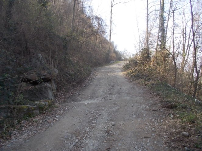 DSCN1544 (FILEminimizer)