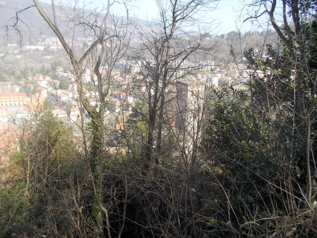 DSCN1547 (FILEminimizer)