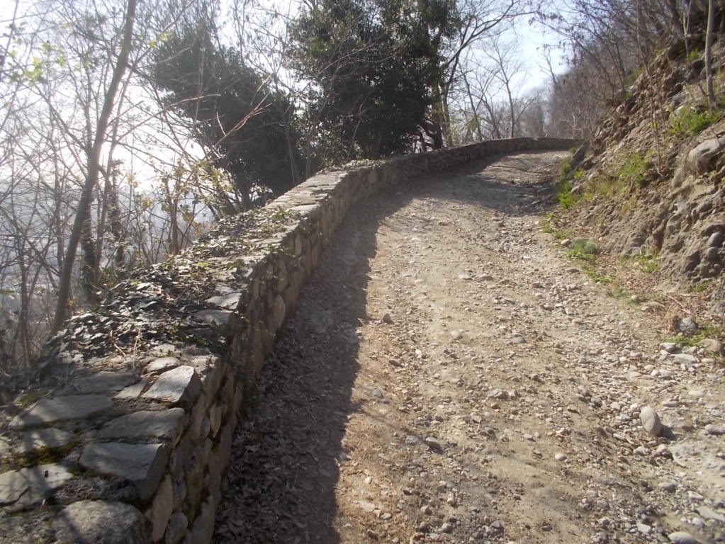 DSCN1548 (FILEminimizer)