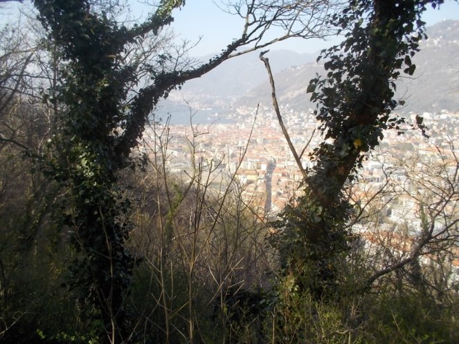 DSCN1550 (FILEminimizer)