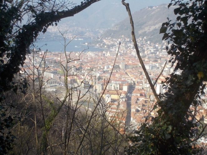 DSCN1551 (FILEminimizer)