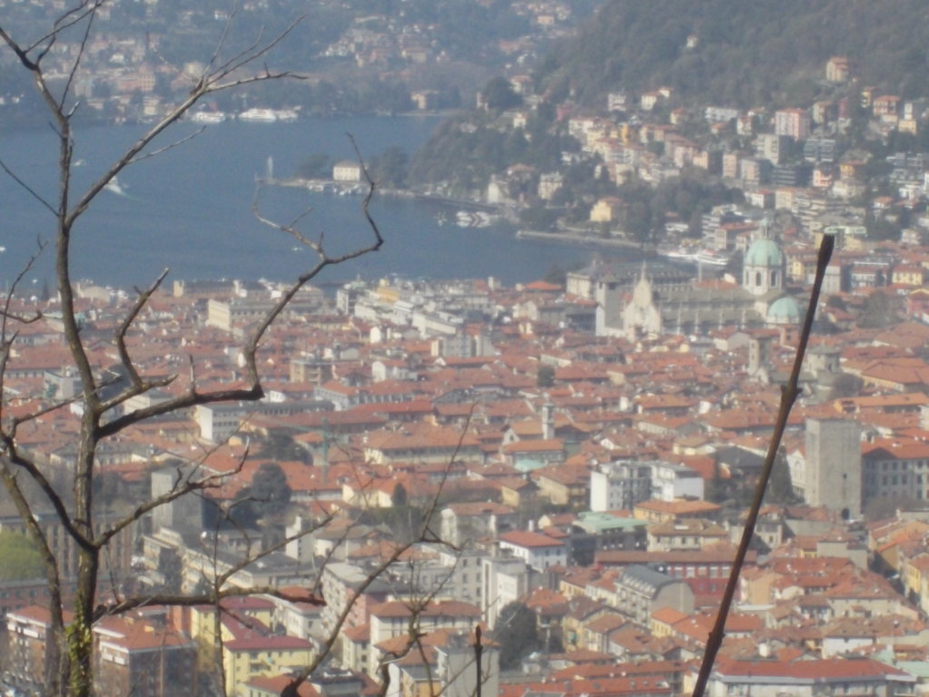 DSCN1552 (FILEminimizer)