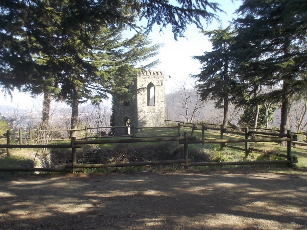 DSCN1553 (FILEminimizer)