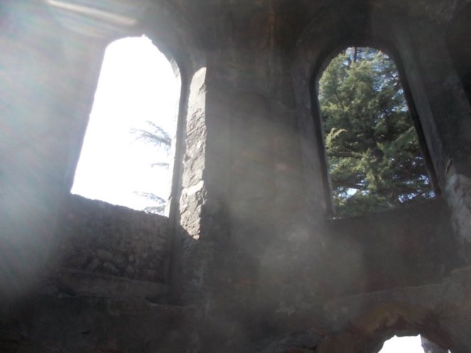 DSCN1559 (FILEminimizer)