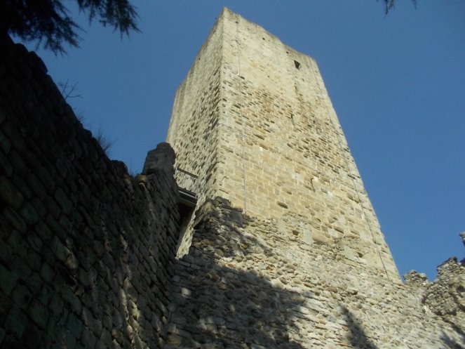 DSCN1566 (FILEminimizer)