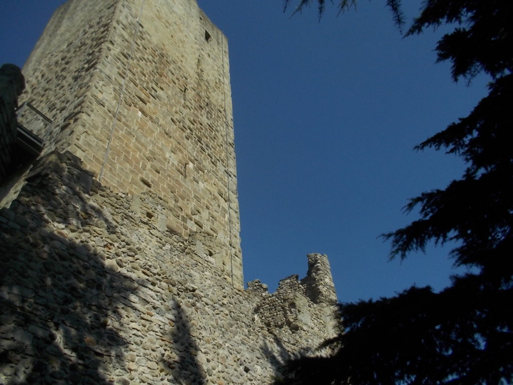 DSCN1567 (FILEminimizer)