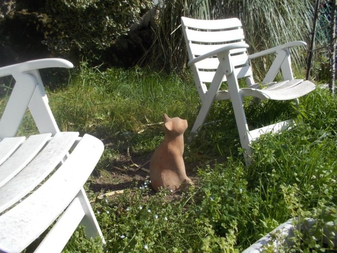 DSCN1576 (FILEminimizer)