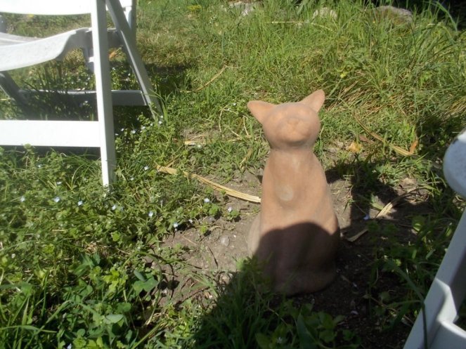 DSCN1577 (FILEminimizer)