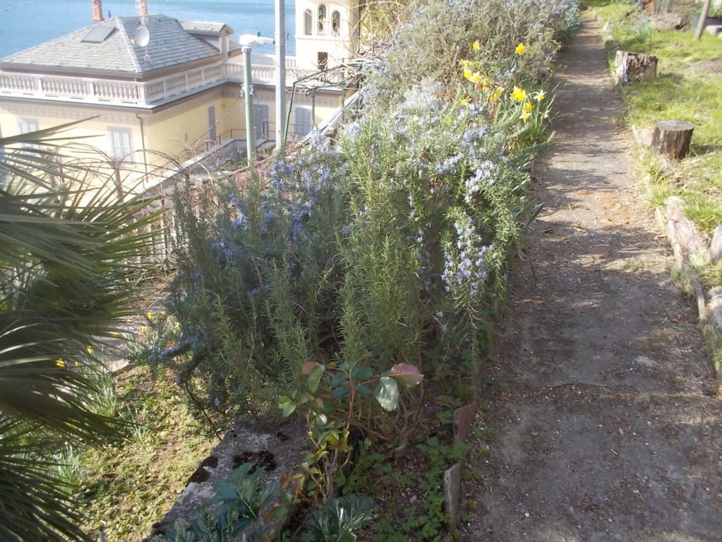 DSCN1583 (FILEminimizer)