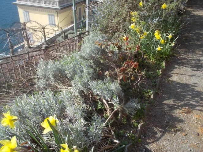 DSCN1584 (FILEminimizer)