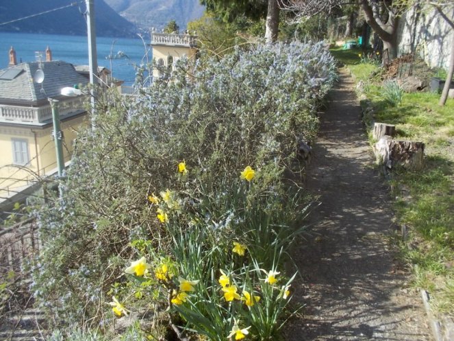 DSCN1585 (FILEminimizer)