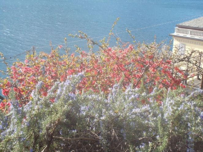 DSCN1587 (FILEminimizer)