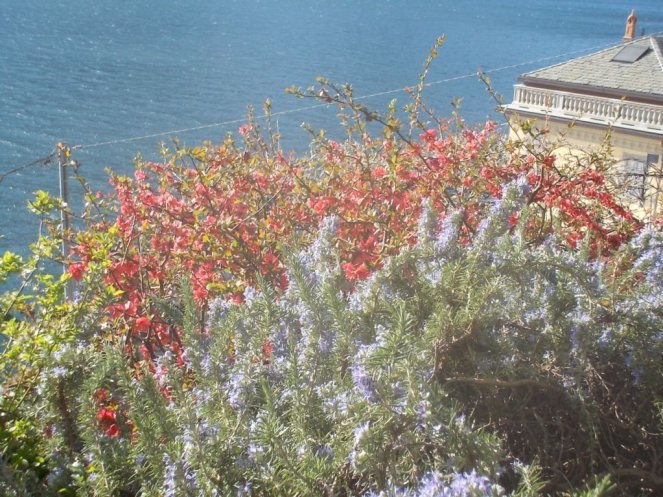 DSCN1588 (FILEminimizer)