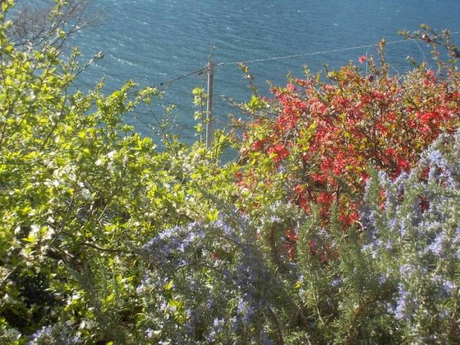 DSCN1589 (FILEminimizer)