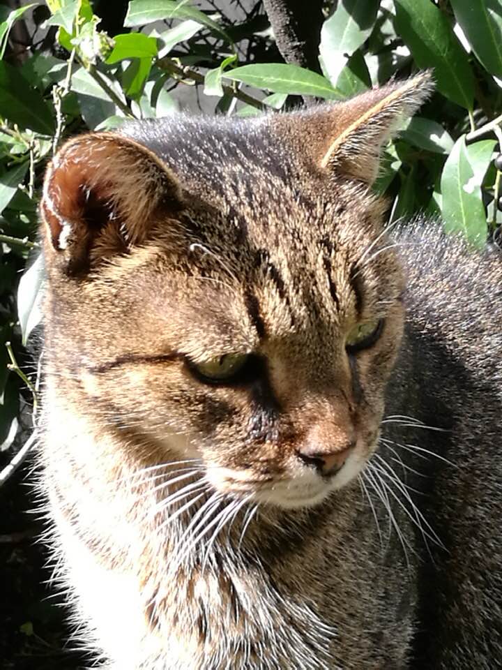 54798042_441923619965529_4710742060355813376_n