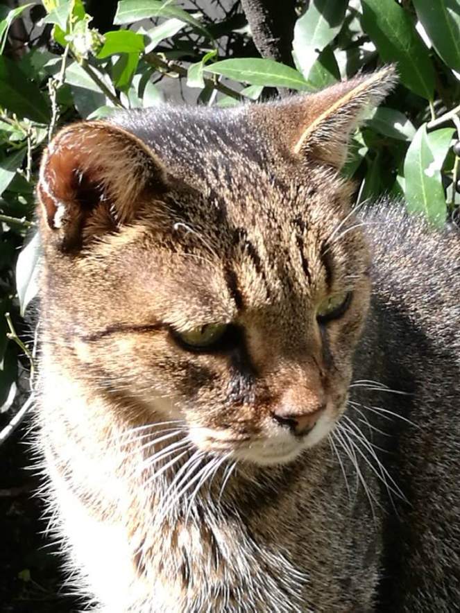 54798042_441923619965529_4710742060355813376_n