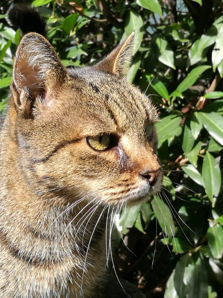 55526903_441923593298865_4523825010619449344_n