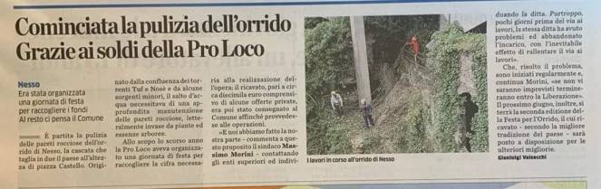 57456986_393107677943224_4187310569176432640_o