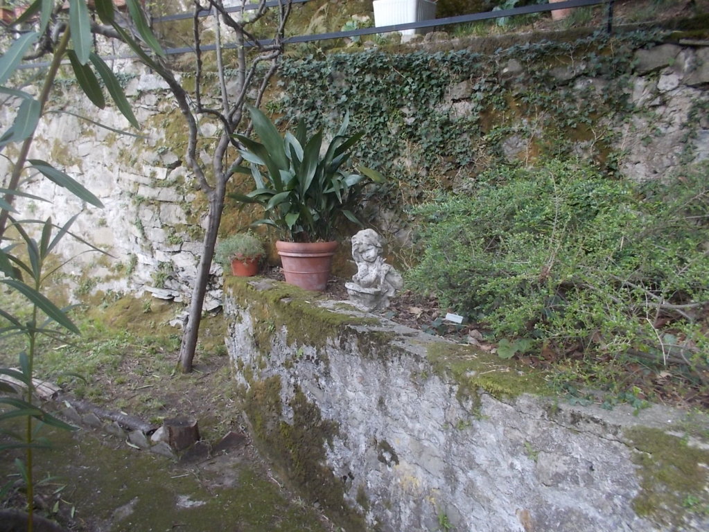 DSCN1590 (FILEminimizer)