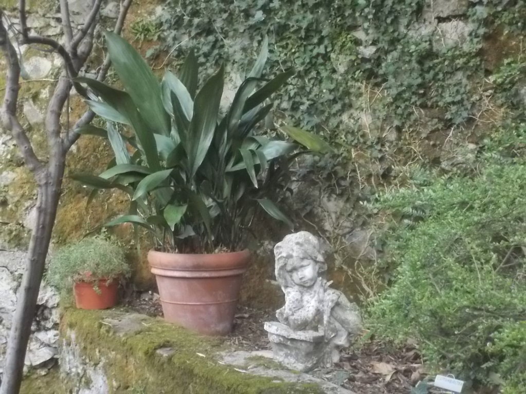 DSCN1591 (FILEminimizer)