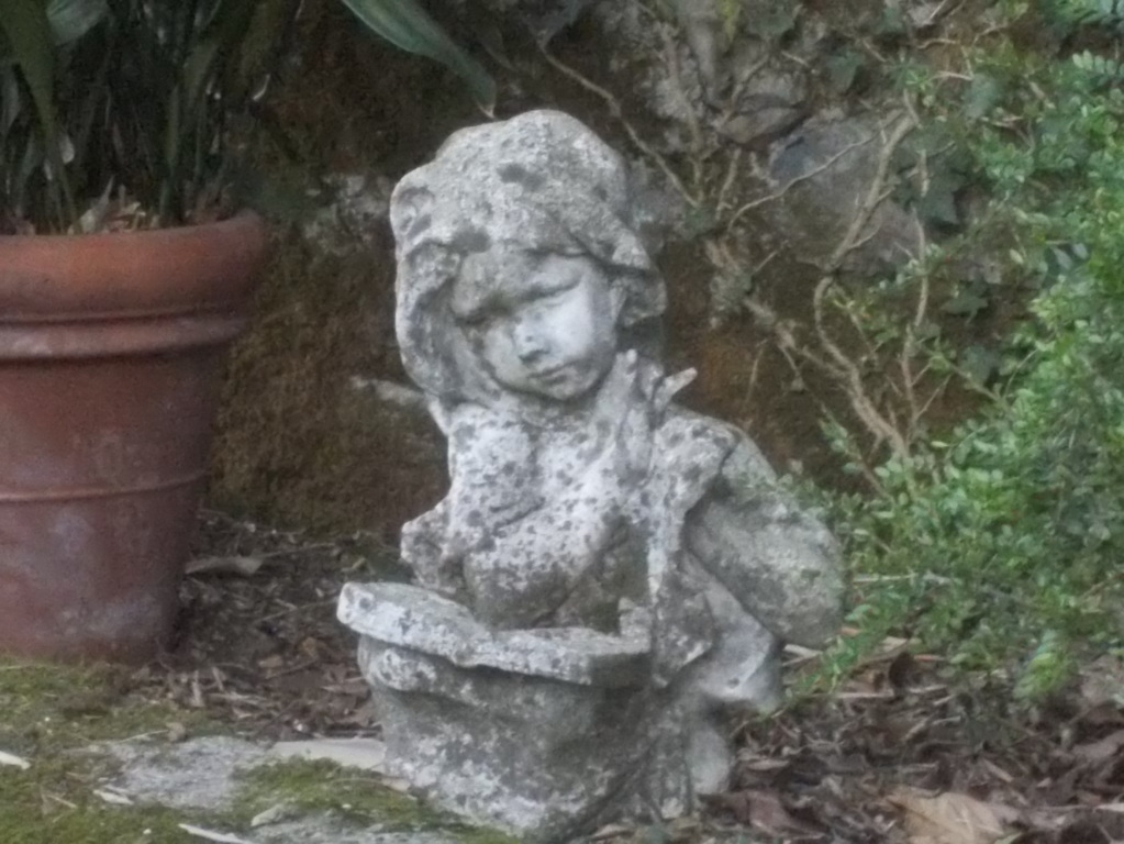 DSCN1592 (FILEminimizer)