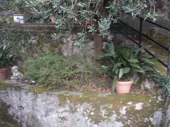 DSCN1593 (FILEminimizer)