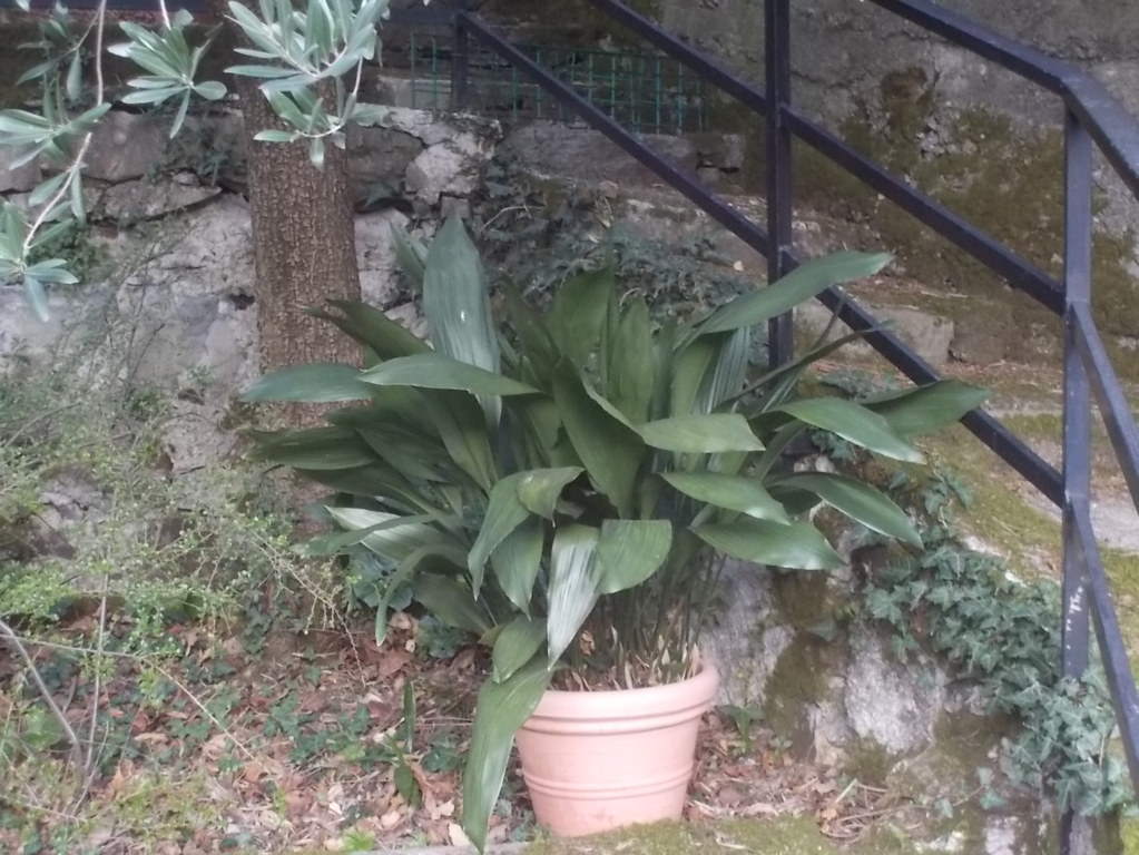 DSCN1594 (FILEminimizer)