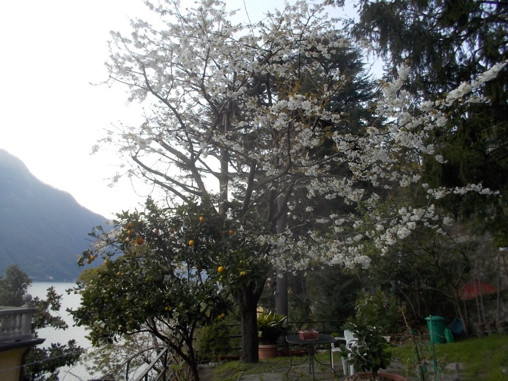 DSCN1595 (FILEminimizer)