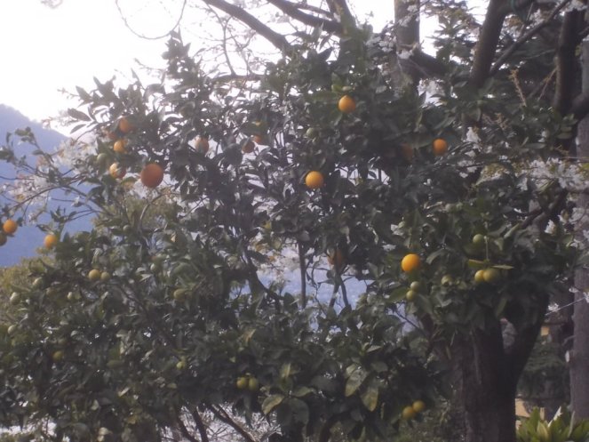 DSCN1596 (FILEminimizer)