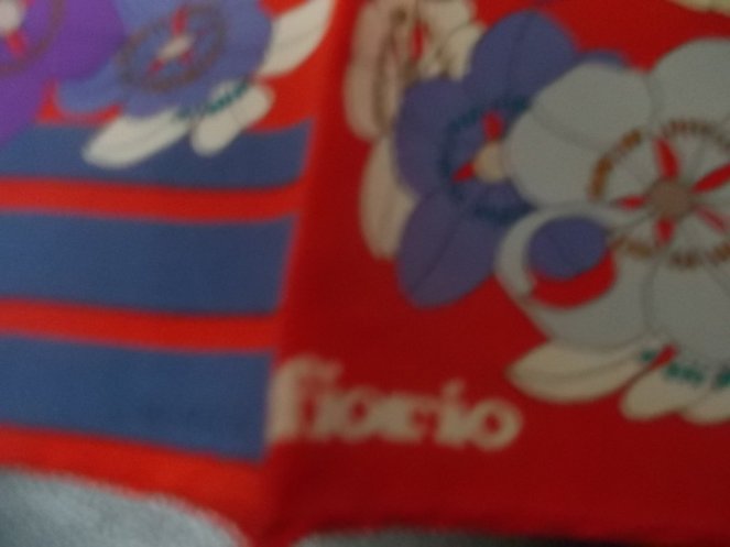 DSCN1599 (FILEminimizer)