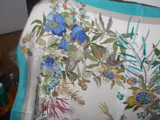 DSCN1607 (FILEminimizer)