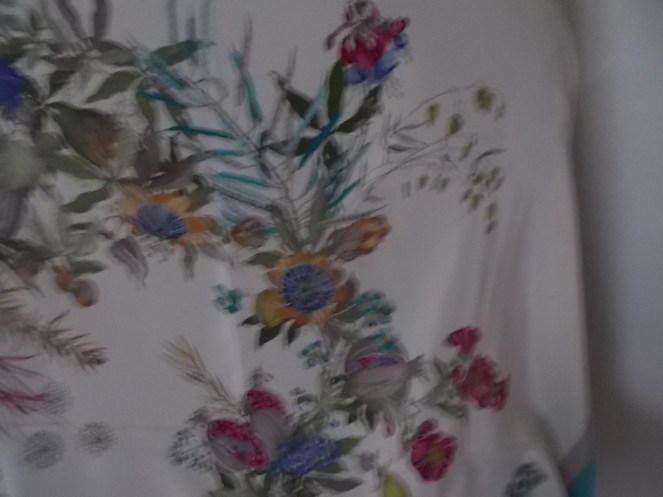 DSCN1608 (FILEminimizer)