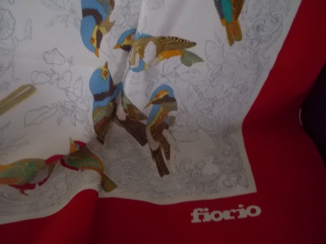 DSCN1615 (FILEminimizer)