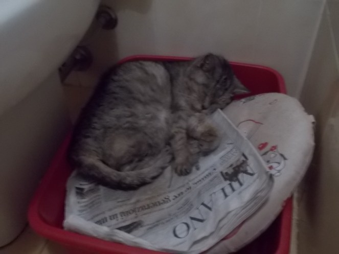 DSCN1620 (FILEminimizer)