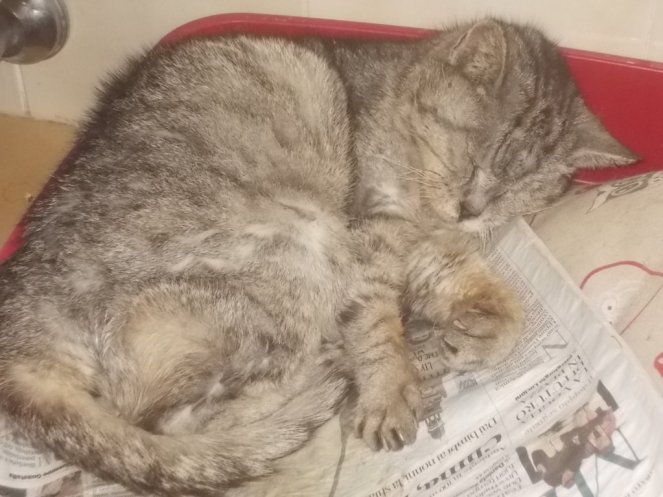 DSCN1621 (FILEminimizer)